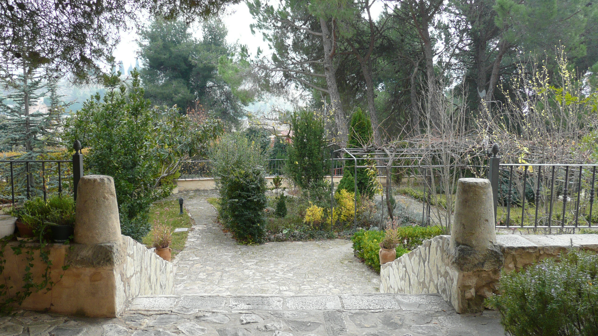 El pulmón del Sester